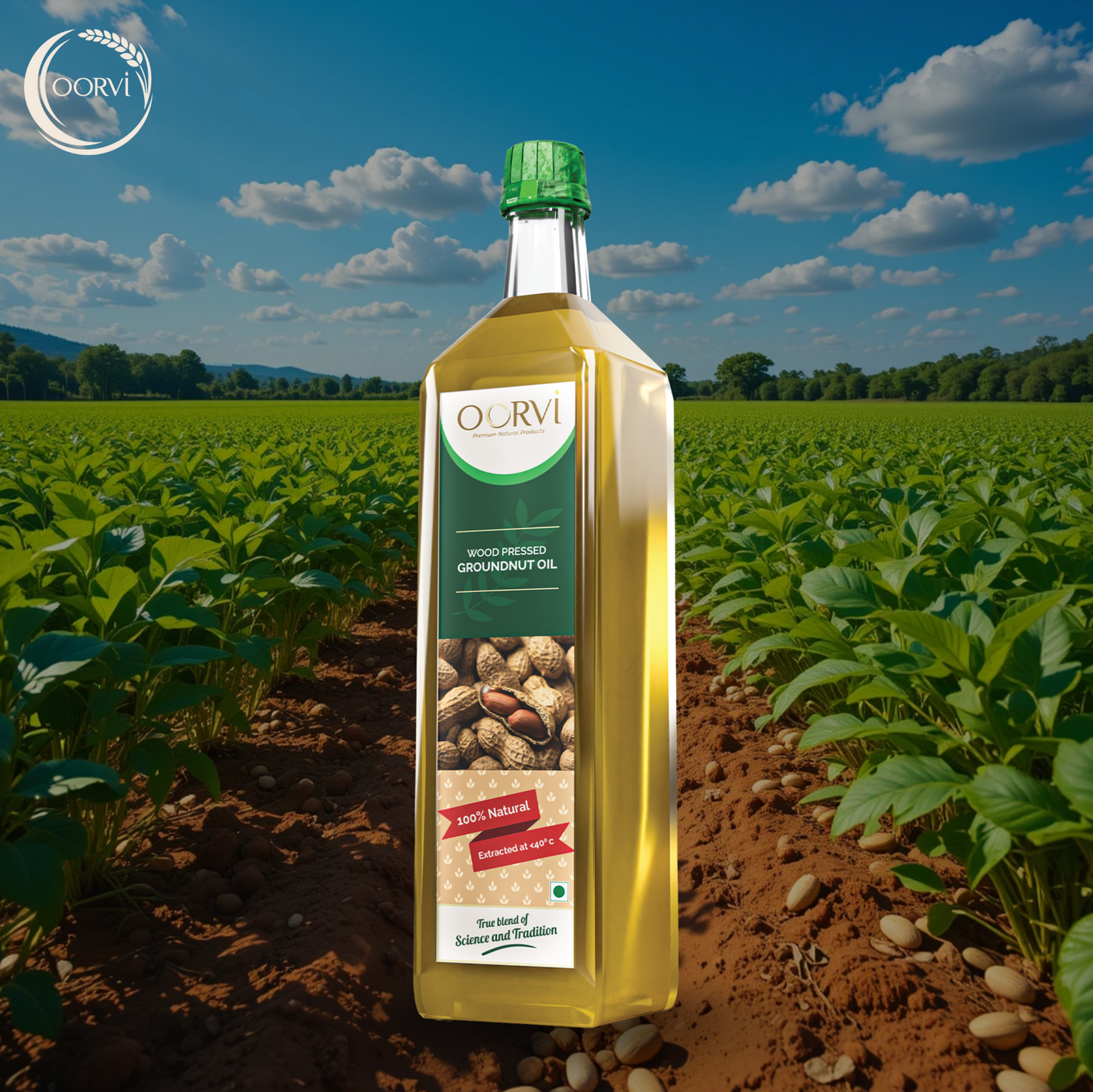 WOOD PRESSED GROUNDNUT OIL - 1 L