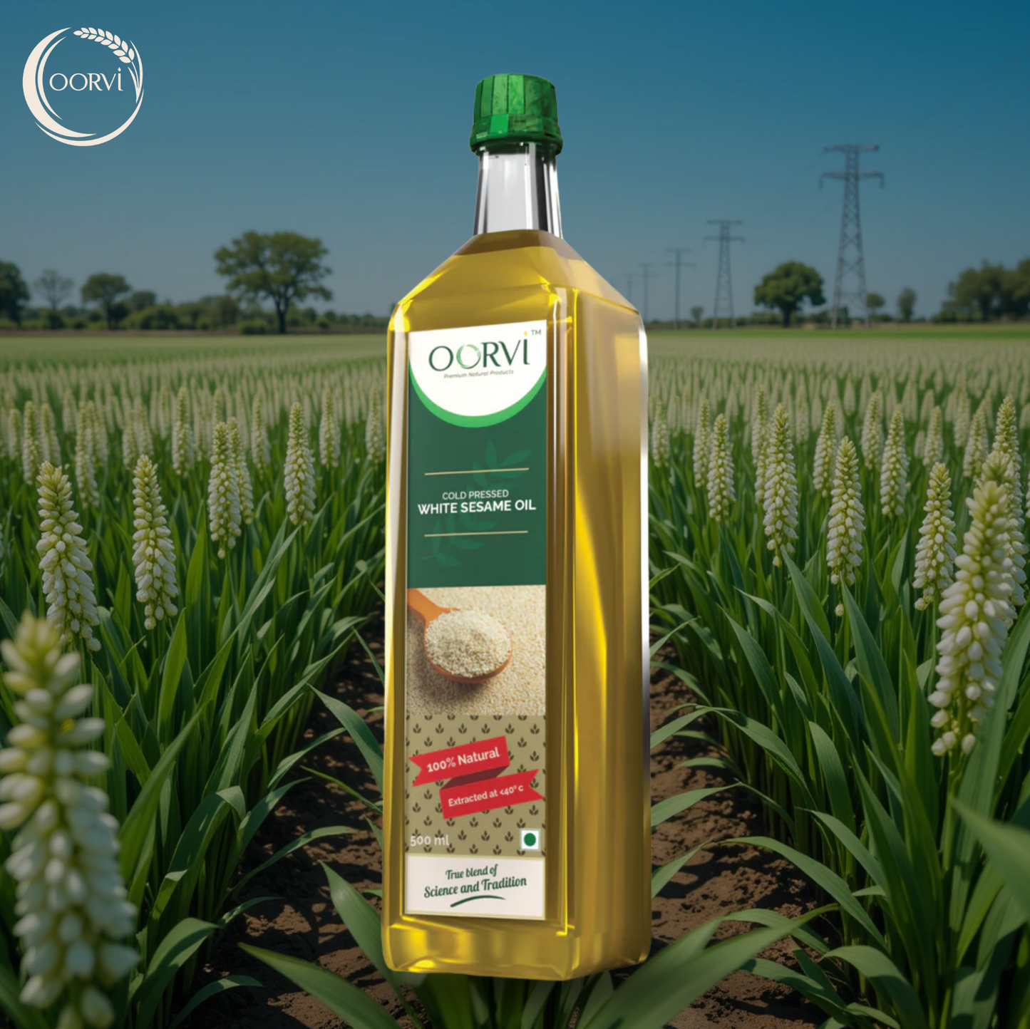 COLD PRESSED WHITE SESAME OIL - 500mL