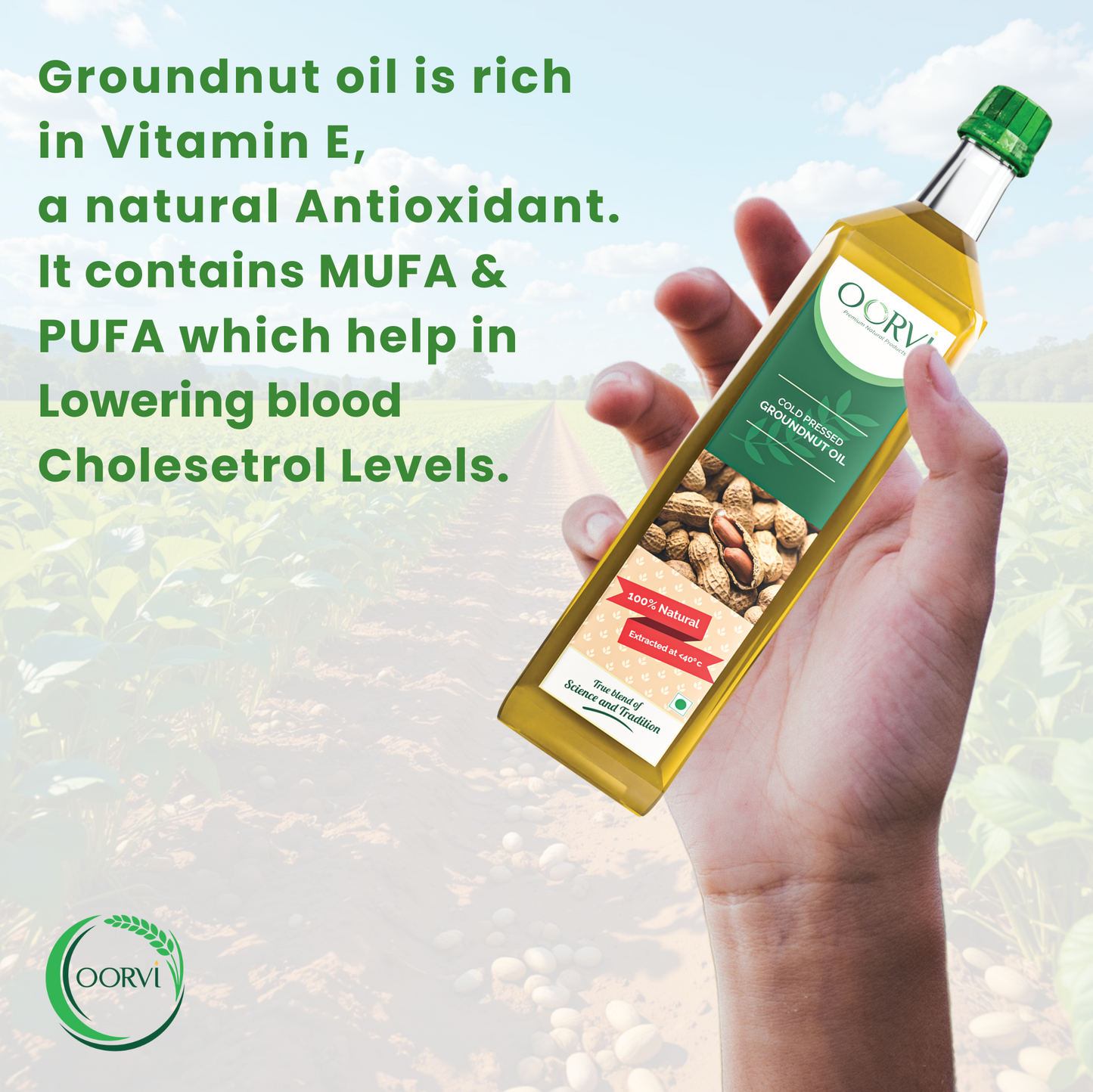 COLD PRESSED GROUNDNUT OIL - 1 L
