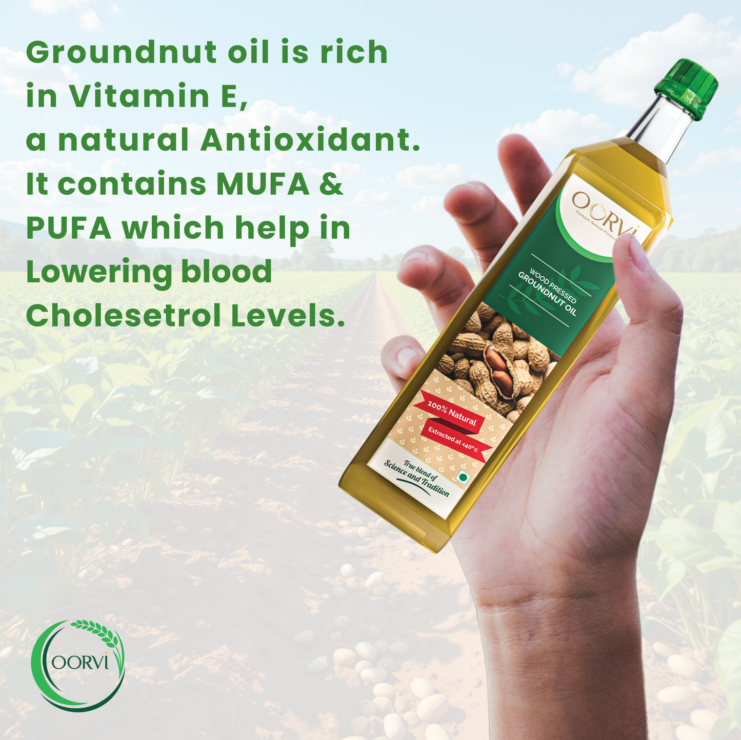 WOOD PRESSED GROUNDNUT OIL - 1 L